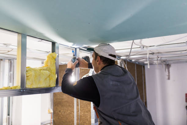 Best Cellulose Insulation in Round Lake Beach, IL